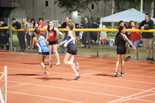 Enlarge photo 262