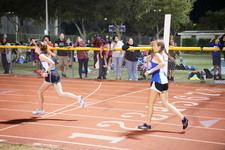 Enlarge photo 308