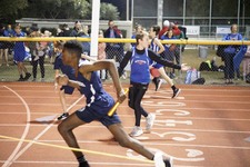 Enlarge photo 344