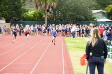 Enlarge photo 201