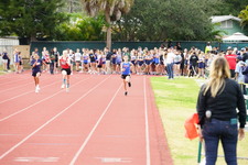 Enlarge photo 202
