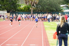 Enlarge photo 203