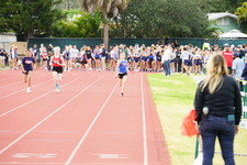Enlarge photo 205