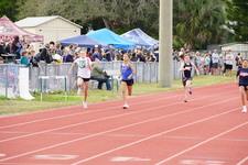 Enlarge photo 206