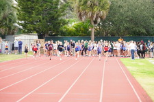 Enlarge photo 227