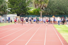 Enlarge photo 228
