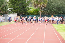 Enlarge photo 229