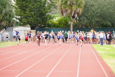 Enlarge photo 230