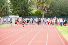 Enlarge photo 231