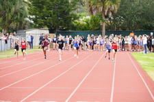 Enlarge photo 232
