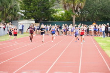 Enlarge photo 233
