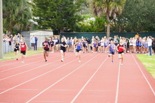 Enlarge photo 234