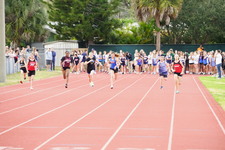 Enlarge photo 235