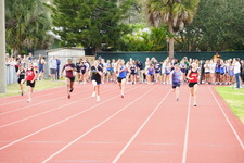 Enlarge photo 236