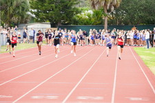 Enlarge photo 237