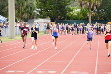 Enlarge photo 238