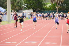 Enlarge photo 239