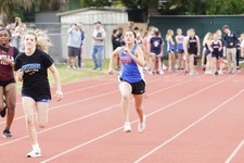 Enlarge photo 240