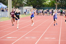 Enlarge photo 242