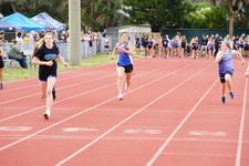 Enlarge photo 244