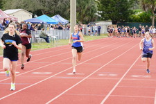 Enlarge photo 248