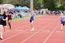 Enlarge photo 249