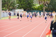 Enlarge photo 256