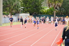 Enlarge photo 257