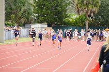 Enlarge photo 258