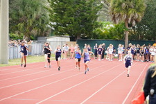 Enlarge photo 259