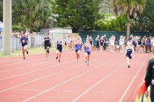 Enlarge photo 260