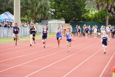 Enlarge photo 261