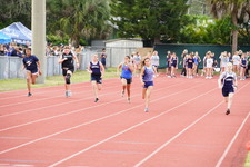 Enlarge photo 262