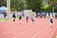 Enlarge photo 263