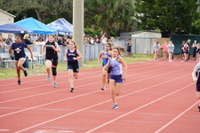 Enlarge photo 268