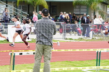 Enlarge photo 286