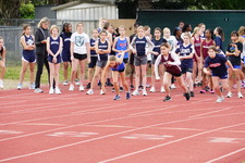 Enlarge photo 293