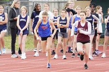 Enlarge photo 297