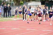 Enlarge photo 298