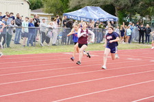 Enlarge photo 304