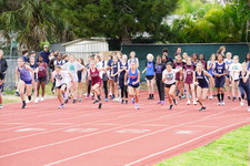 Enlarge photo 344