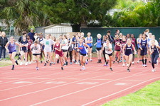 Enlarge photo 345