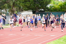 Enlarge photo 349
