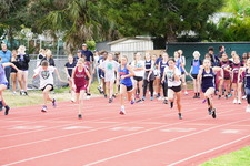 Enlarge photo 348