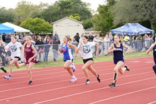 Enlarge photo 354