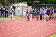 Enlarge photo 391