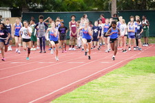 Enlarge photo 396