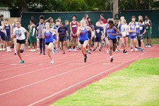 Enlarge photo 397