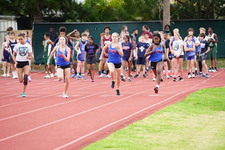 Enlarge photo 398