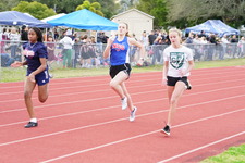 Enlarge photo 421